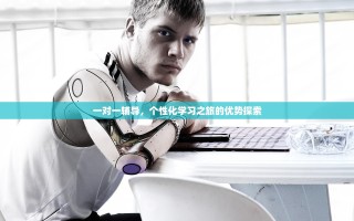 一对一辅导，个性化学习之旅的优势探索