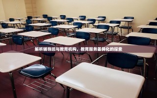 解析辅导班与教育机构，教育服务差异化的探索