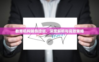 教育机构辅导培训，深度解析与高效策略