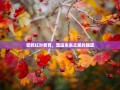 邯郸红叶教育，塑造未来之星的摇篮