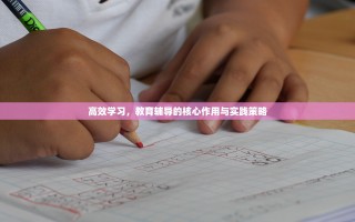 高效学习，教育辅导的核心作用与实践策略