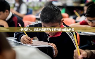协同育人，探索家庭教育与学校教育的互动桥梁