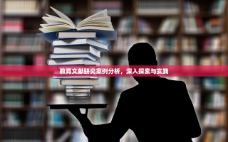教育文献研究案例分析，深入探索与实践