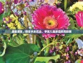 遵循原则，培养未来花朵，学前儿童家庭教育指南