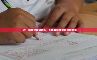 一对一辅导价格全解析，100教育性价比深度考量