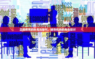 正规教育的补充与替代，辅导机构的角色探讨