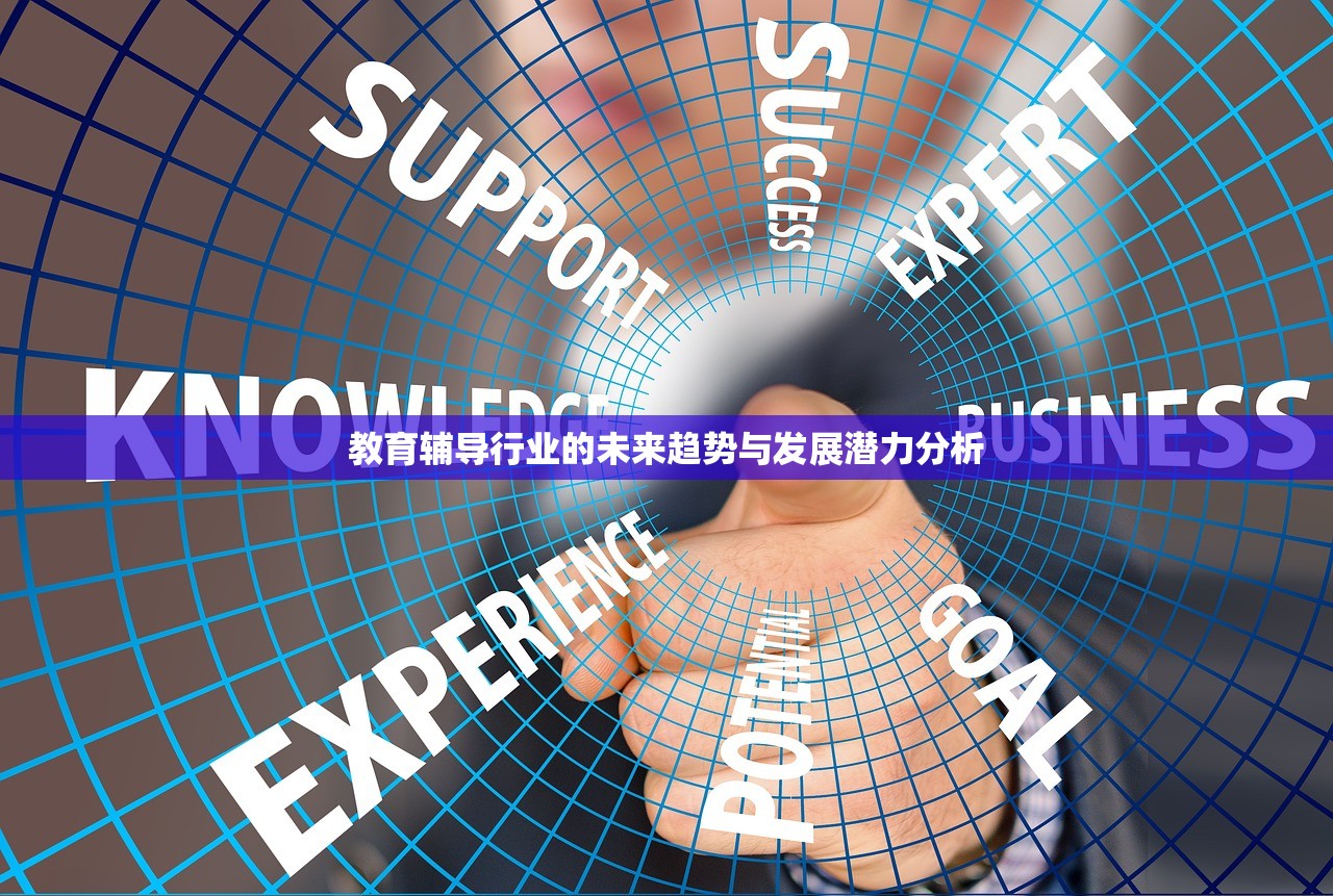 教育辅导行业的未来趋势与发展潜力分析