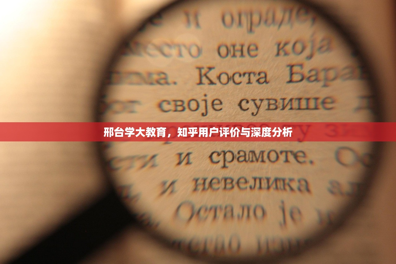 2025pj 第25页