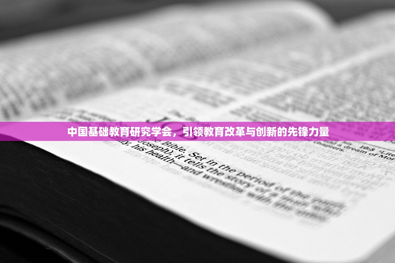 中国基础教育研究学会，引领教育改革与创新的先锋力量