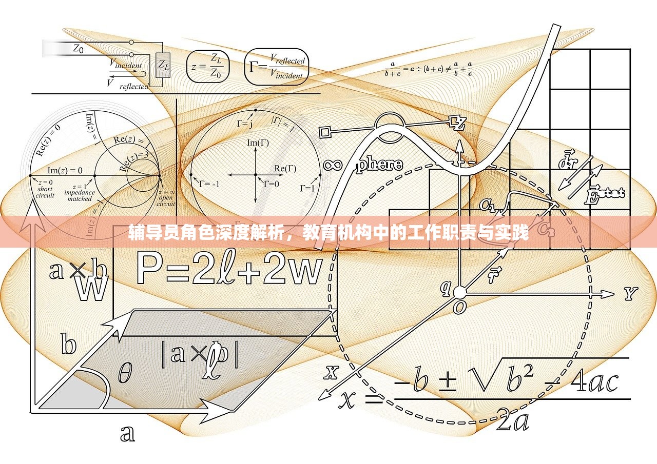 辅导员角色深度解析，教育机构中的工作职责与实践