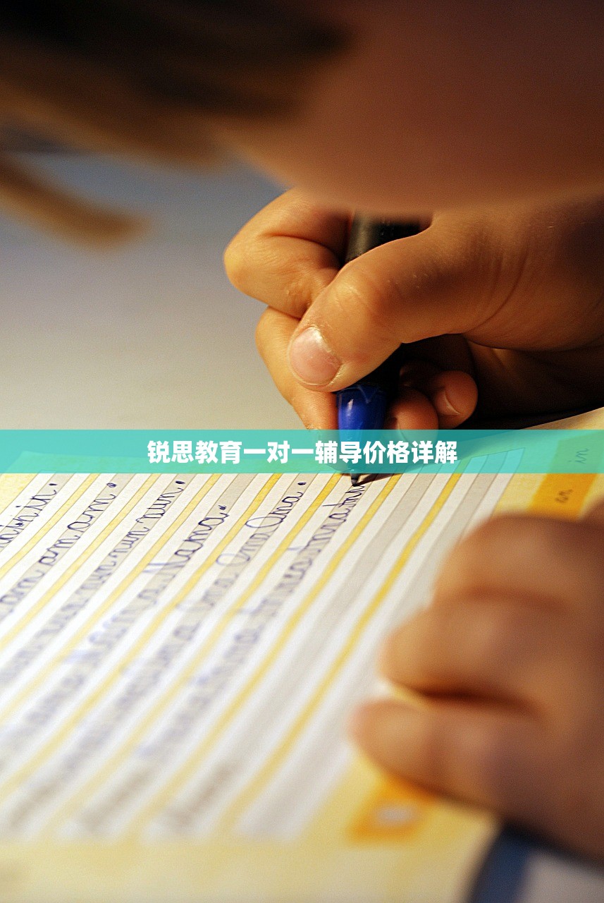 锐思教育一对一辅导价格详解