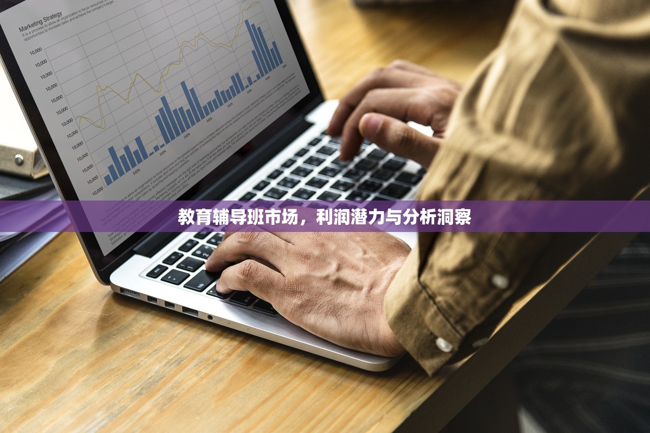 教育辅导班市场，利润潜力与分析洞察