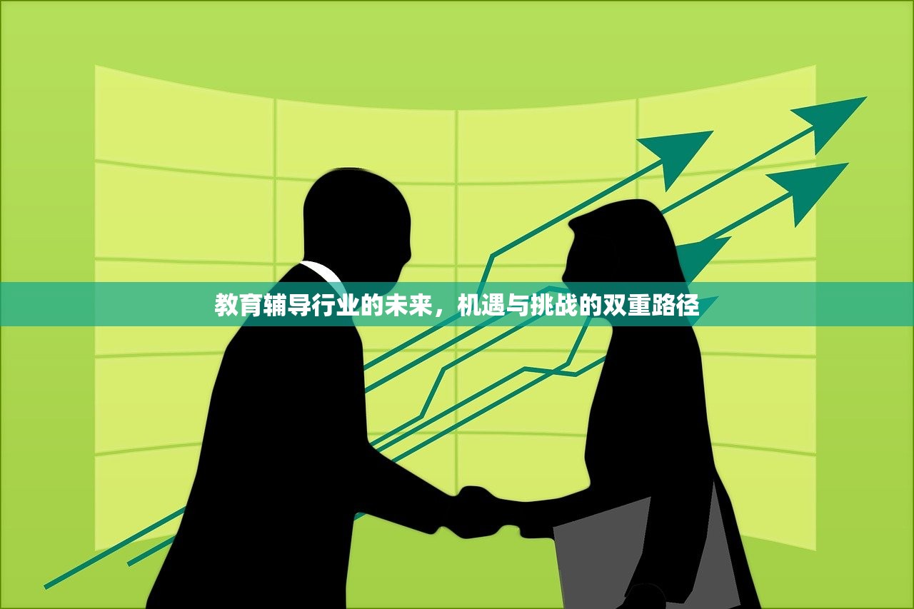 教育辅导行业的未来，机遇与挑战的双重路径