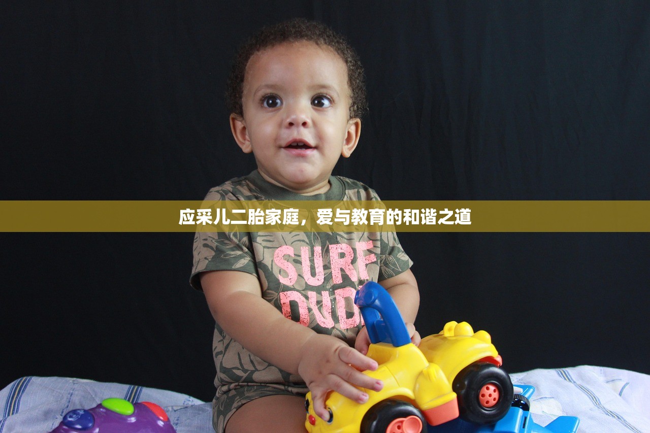 应采儿二胎家庭，爱与教育的和谐之道