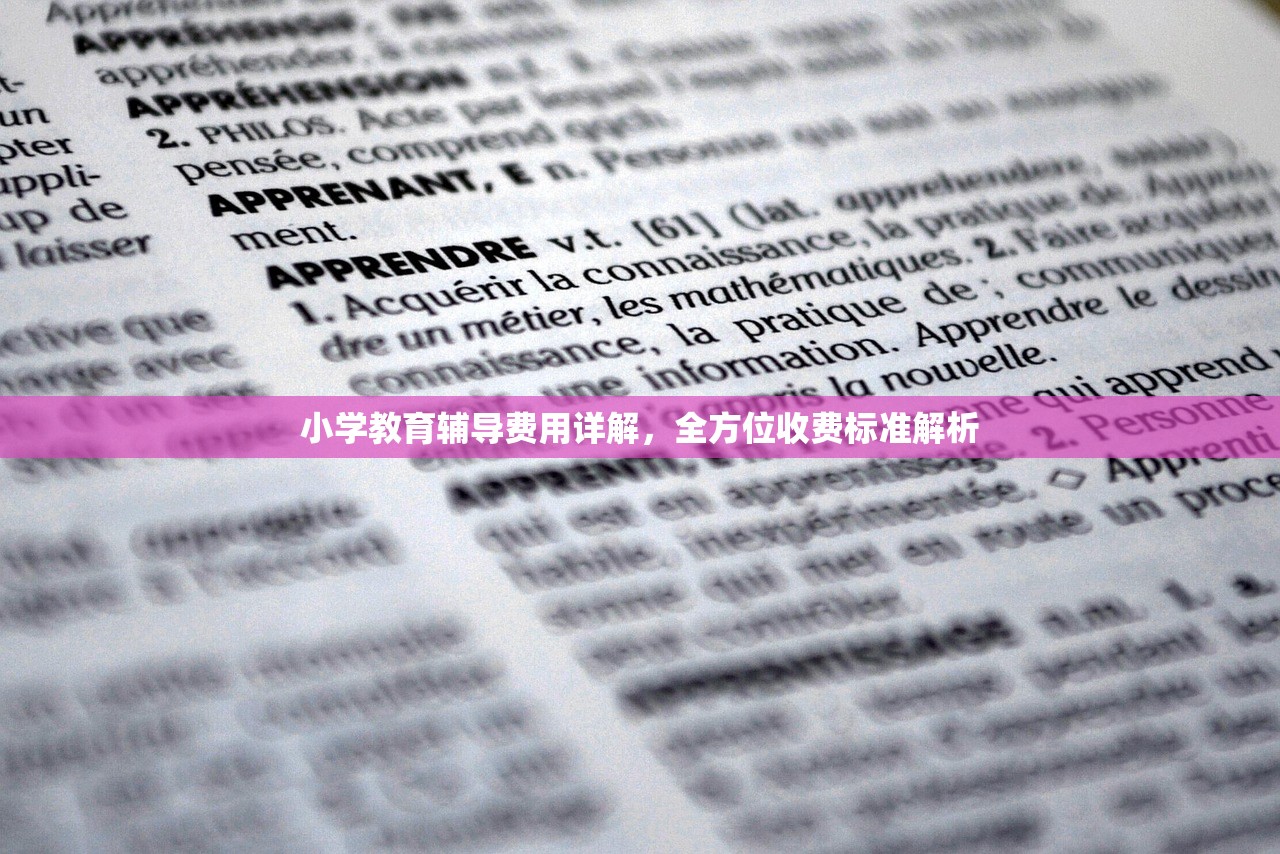 小学教育辅导费用详解，全方位收费标准解析