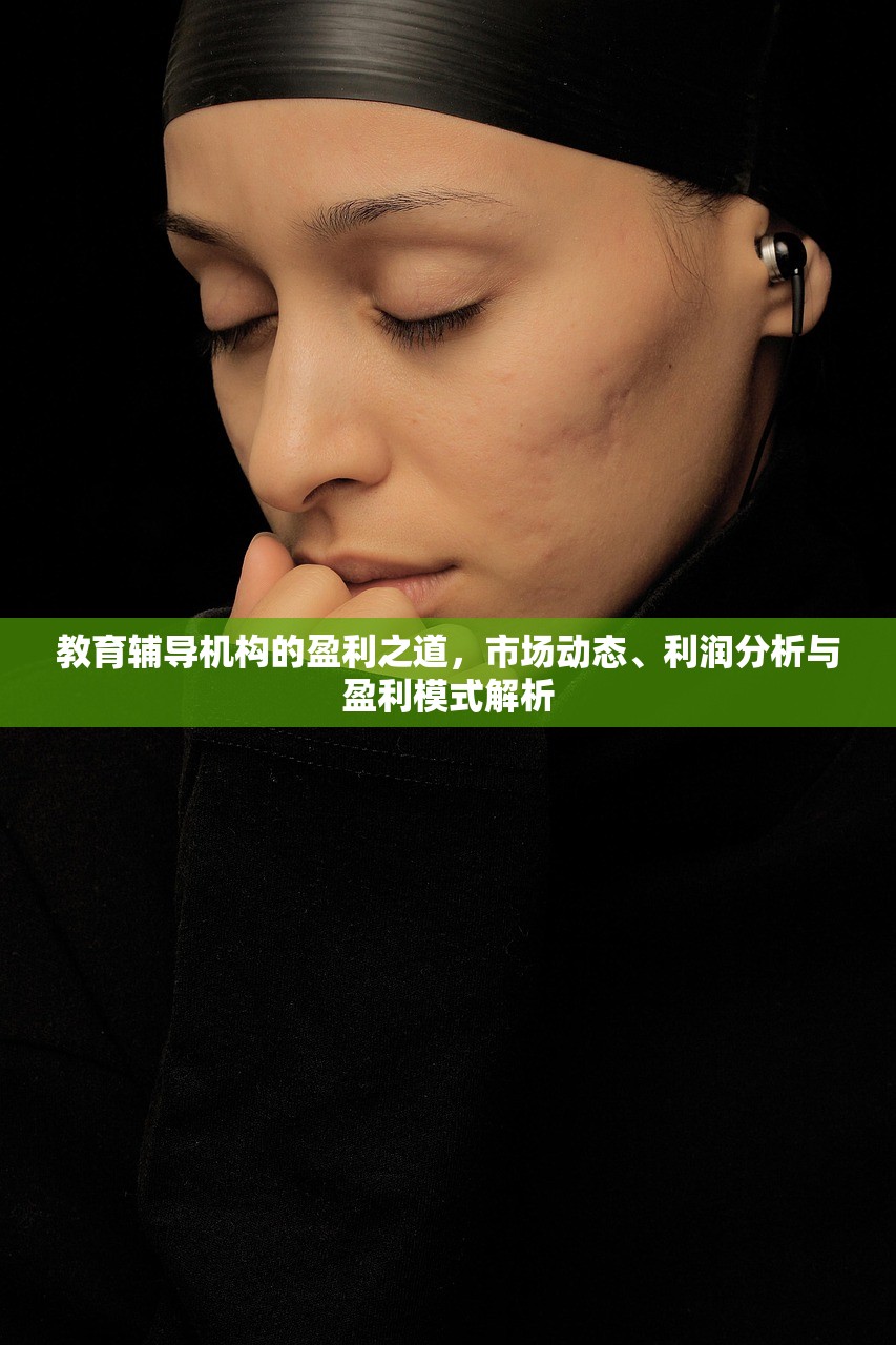 教育辅导机构的盈利之道，市场动态、利润分析与盈利模式解析
