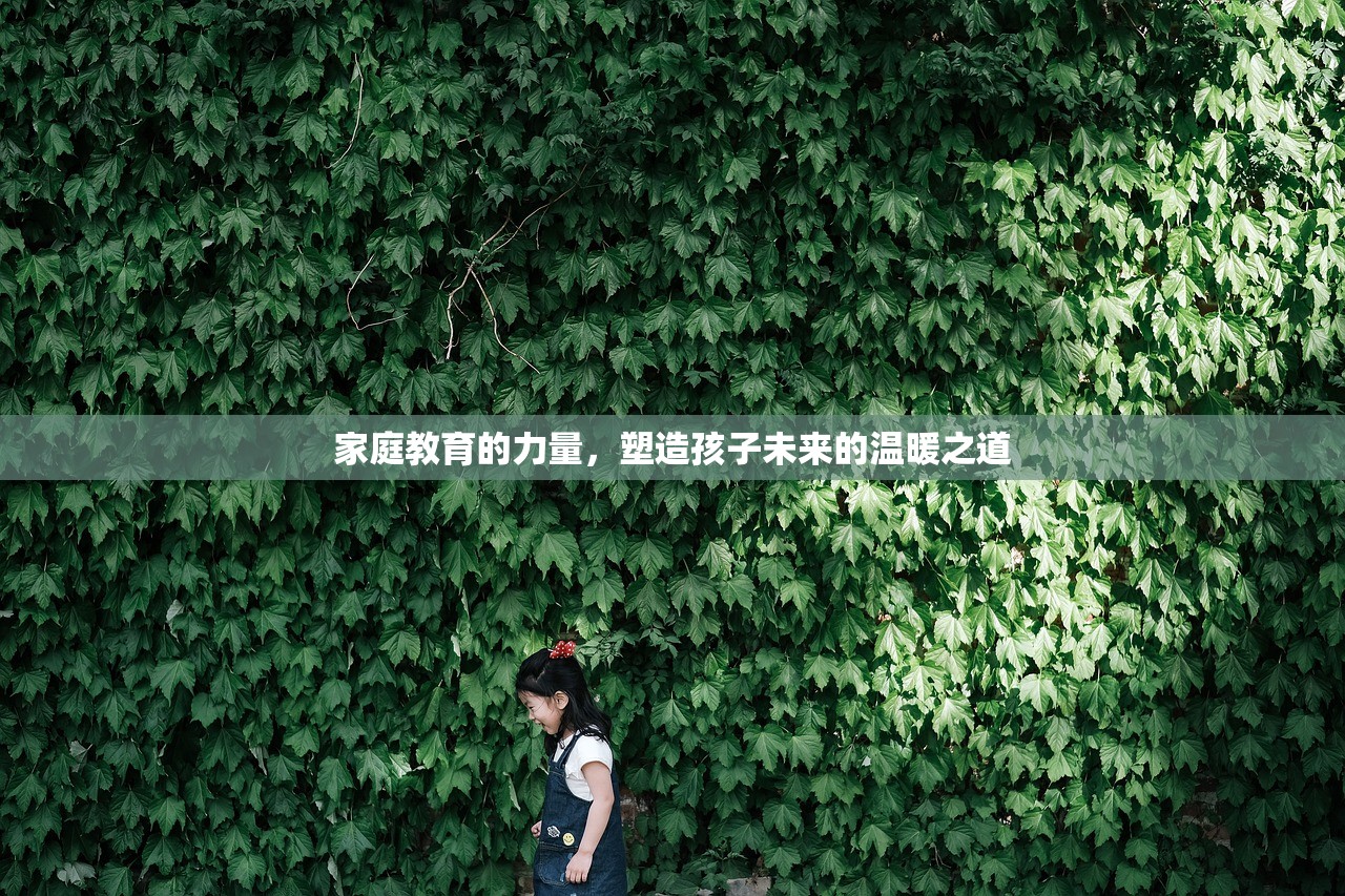 家庭教育的力量，塑造孩子未来的温暖之道