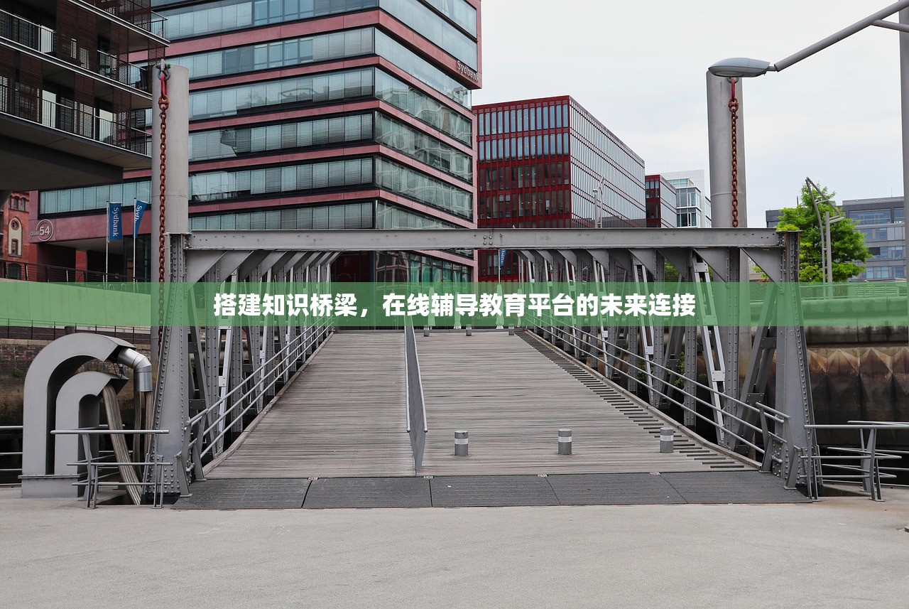 搭建知识桥梁，在线辅导教育平台的未来连接