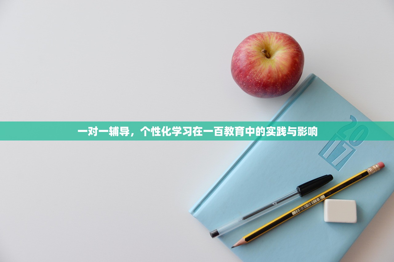 一对一辅导，个性化学习在一百教育中的实践与影响