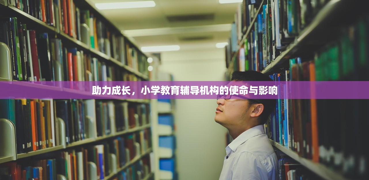 助力成长，小学教育辅导机构的使命与影响