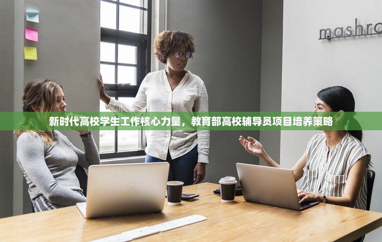 新时代高校学生工作核心力量，教育部高校辅导员项目培养策略