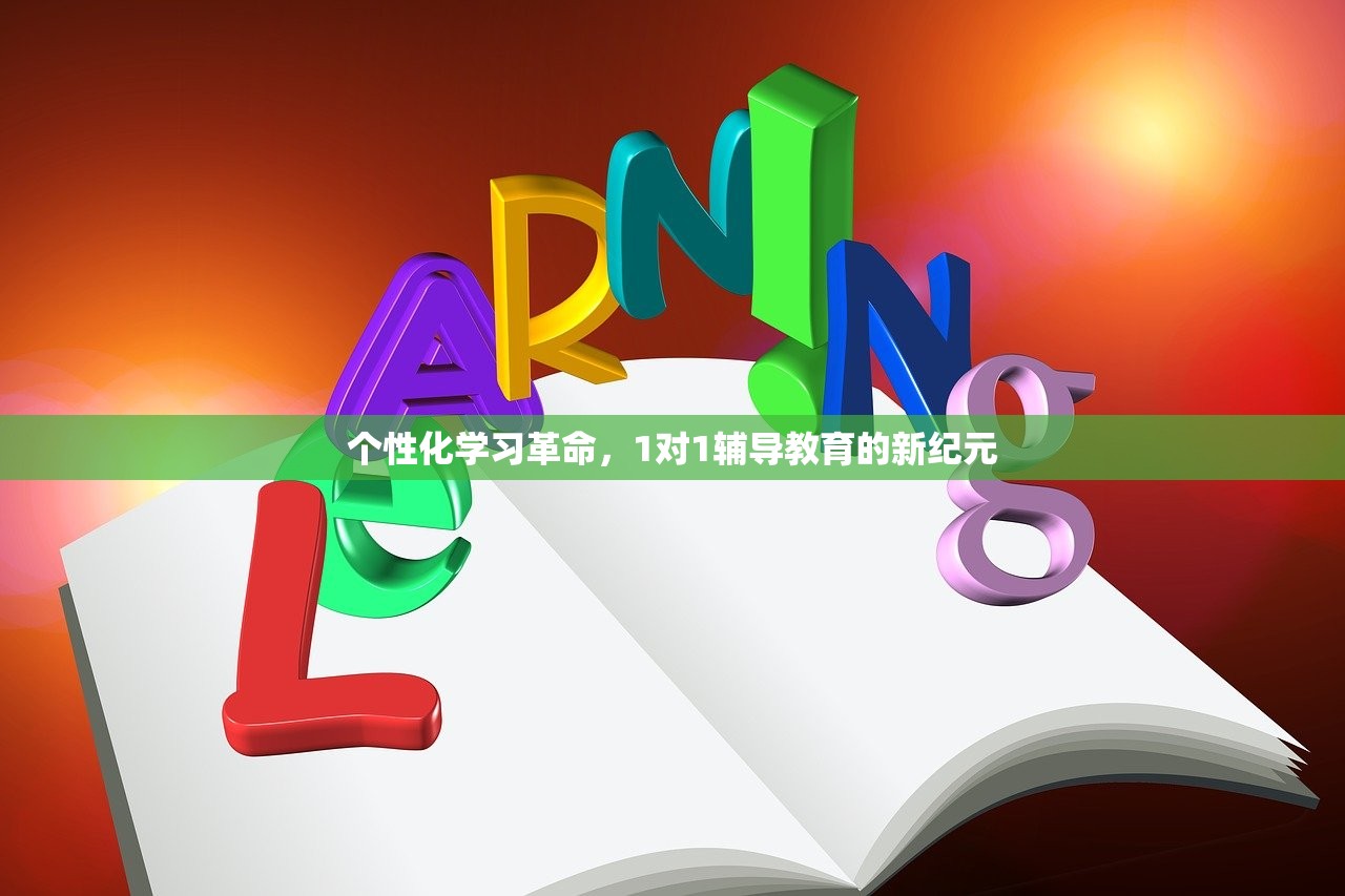个性化学习革命，1对1辅导教育的新纪元