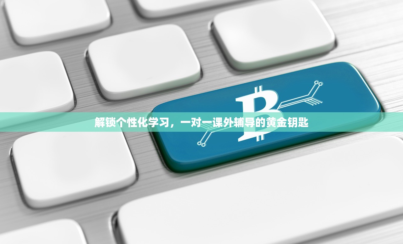 解锁个性化学习，一对一课外辅导的黄金钥匙