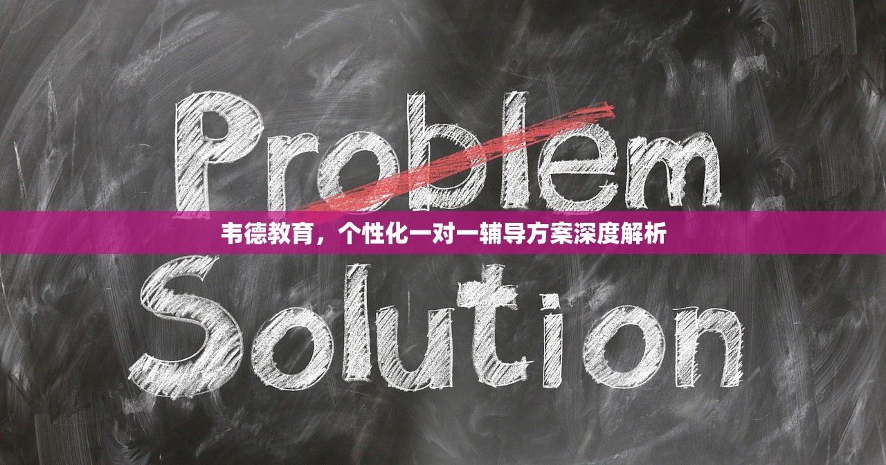 韦德教育，个性化一对一辅导方案深度解析
