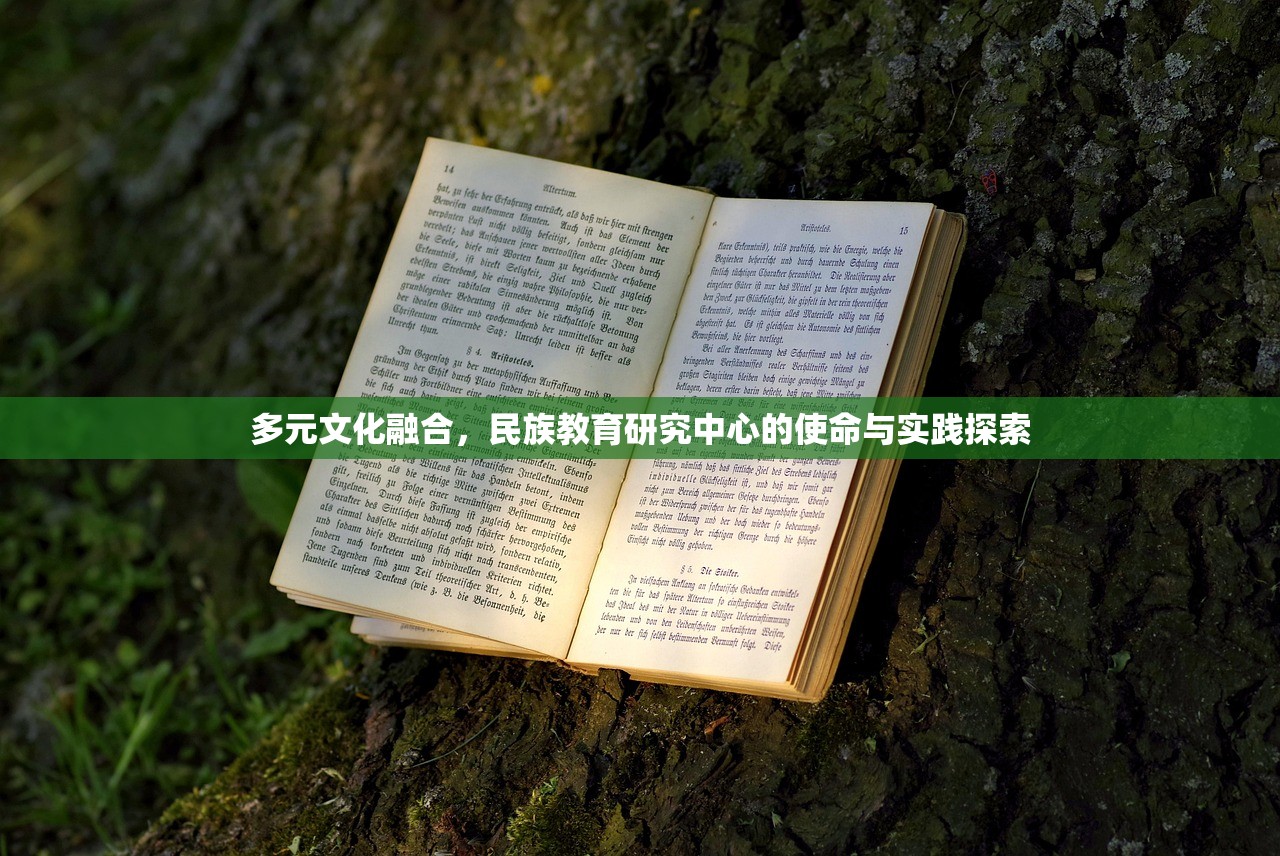 多元文化融合，民族教育研究中心的使命与实践探索