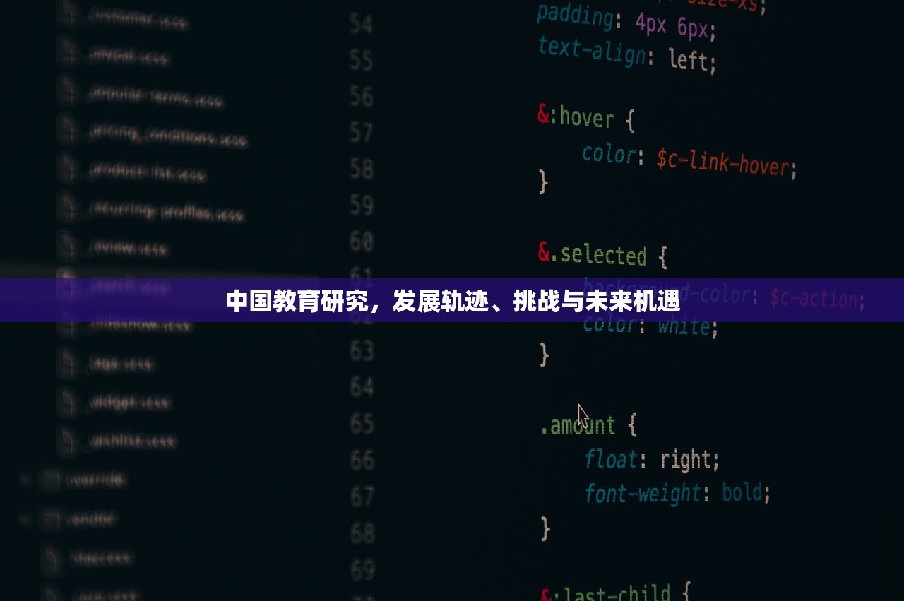 中国教育研究，发展轨迹、挑战与未来机遇