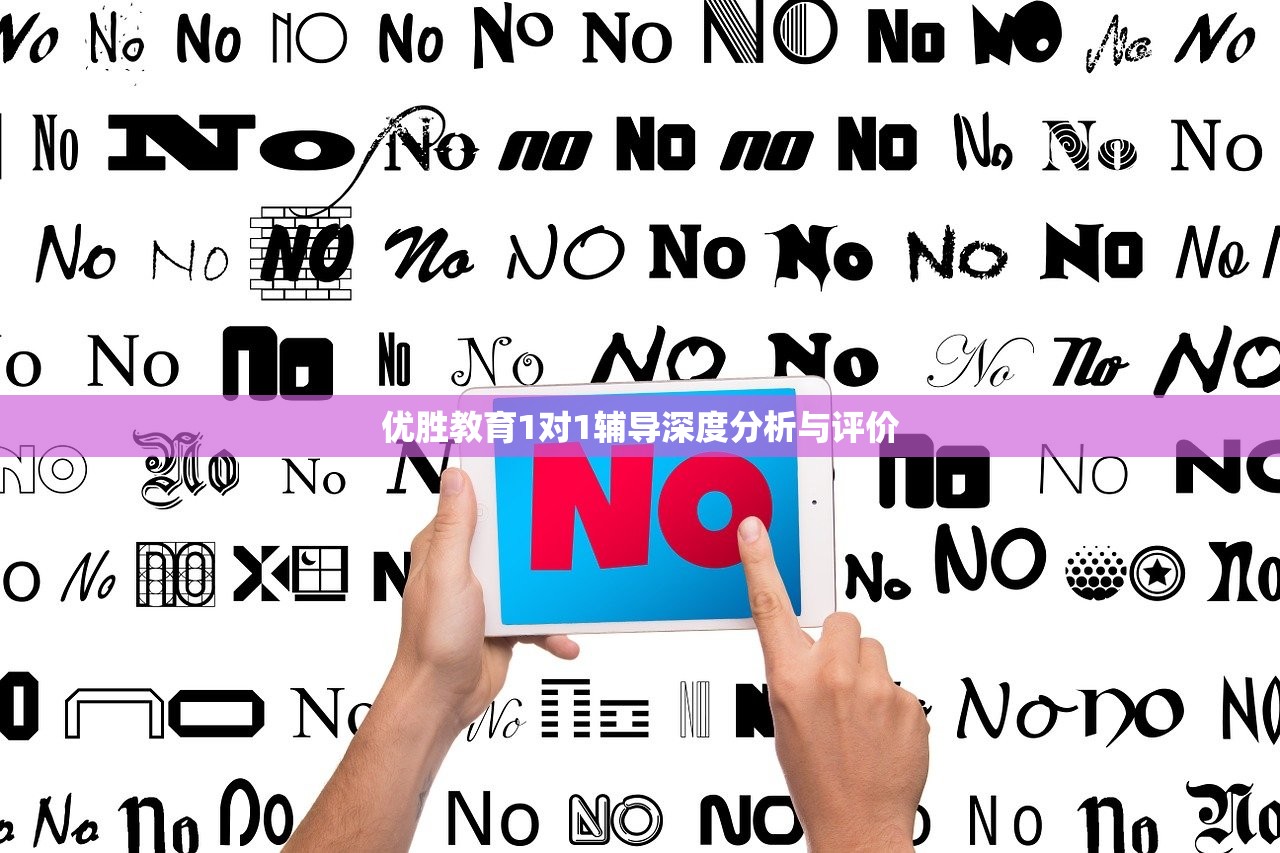 优胜教育1对1辅导深度分析与评价