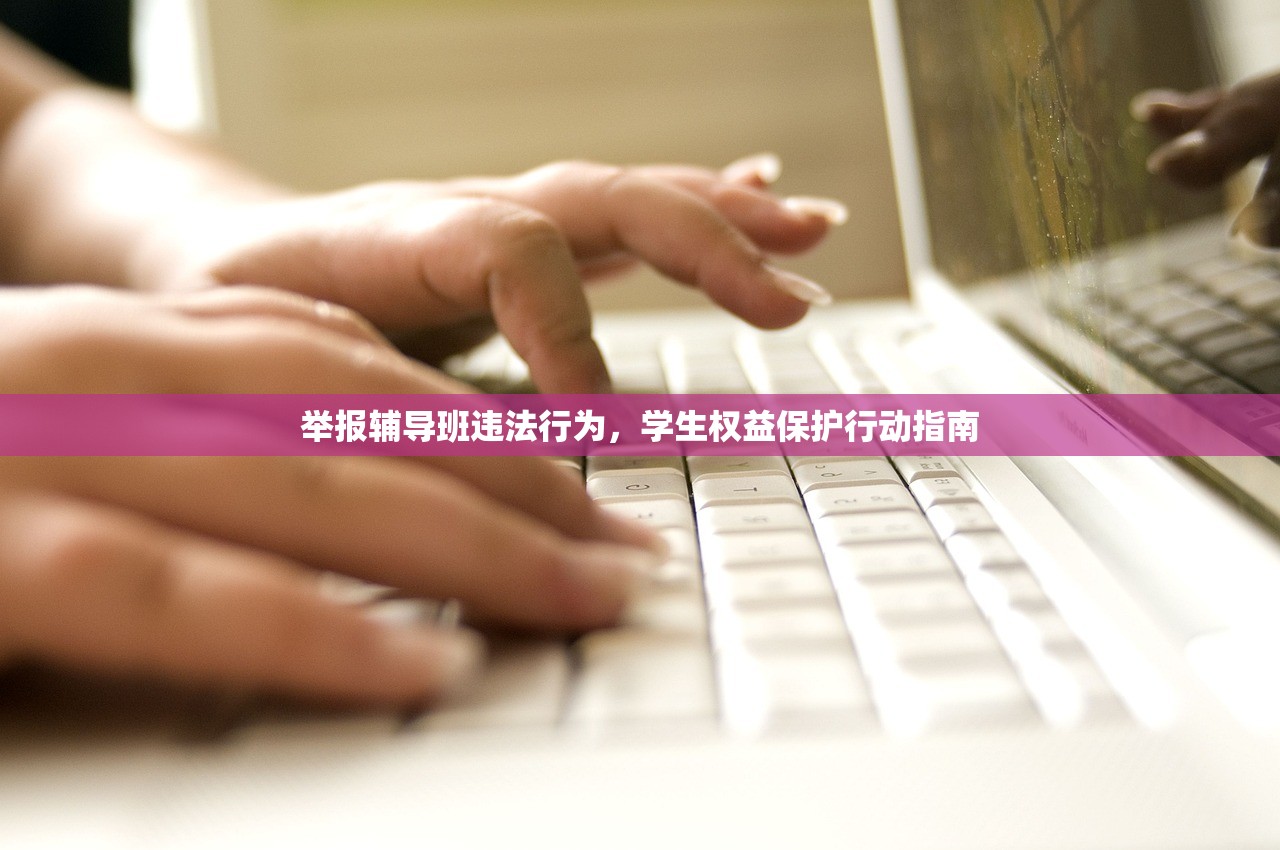 举报辅导班违法行为，学生权益保护行动指南