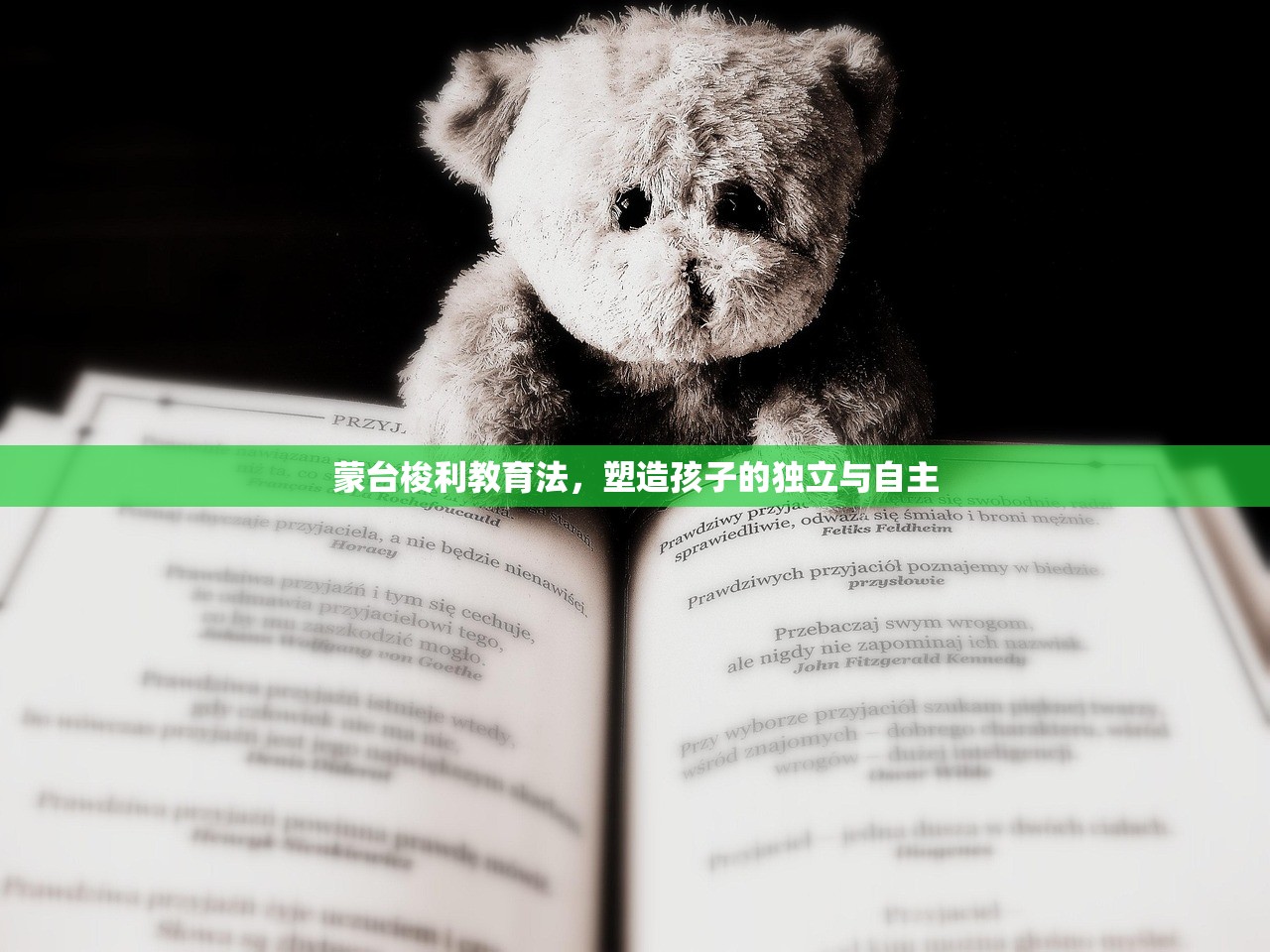 蒙台梭利教育法，塑造孩子的独立与自主