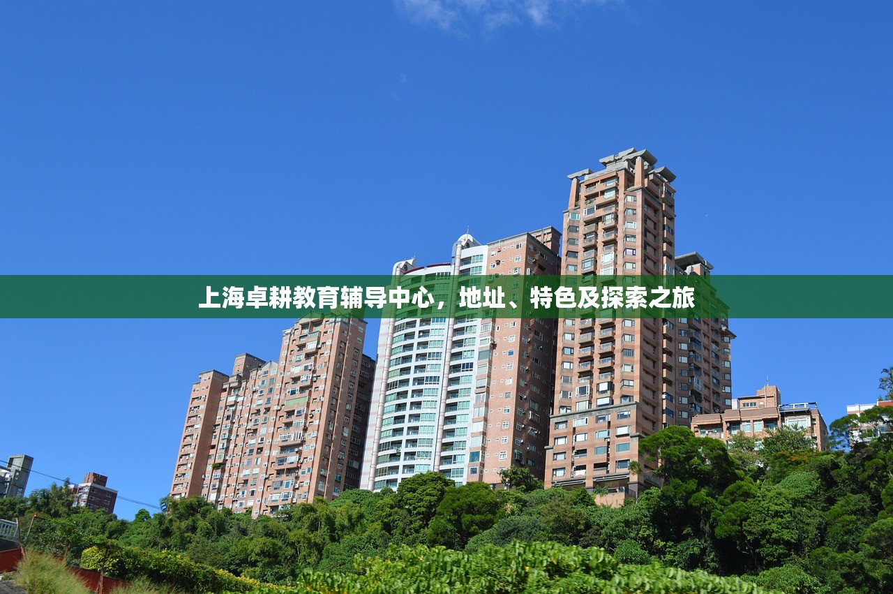 上海卓耕教育辅导中心，地址、特色及探索之旅
