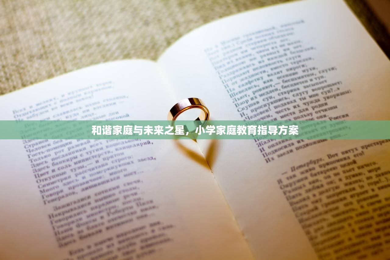 和谐家庭与未来之星，小学家庭教育指导方案