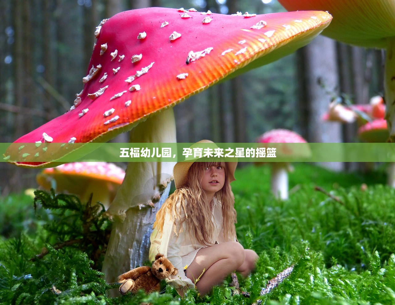 五福幼儿园，孕育未来之星的摇篮
