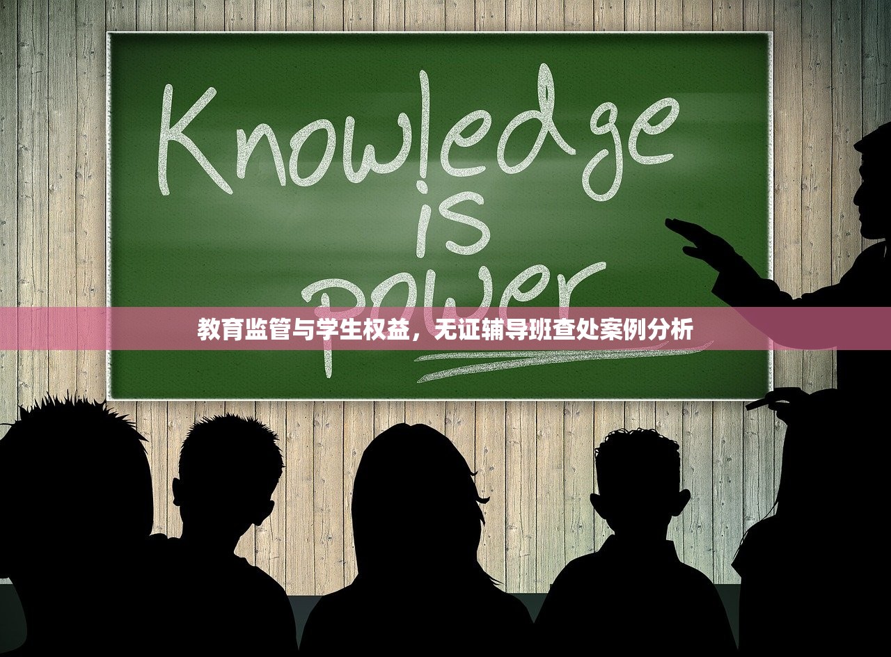 教育监管与学生权益，无证辅导班查处案例分析