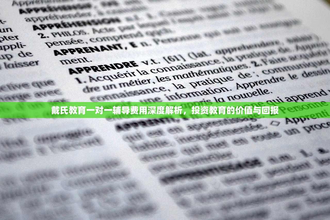 戴氏教育一对一辅导费用深度解析，投资教育的价值与回报