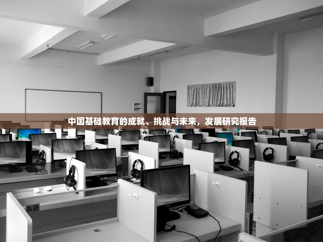 中国基础教育的成就、挑战与未来，发展研究报告