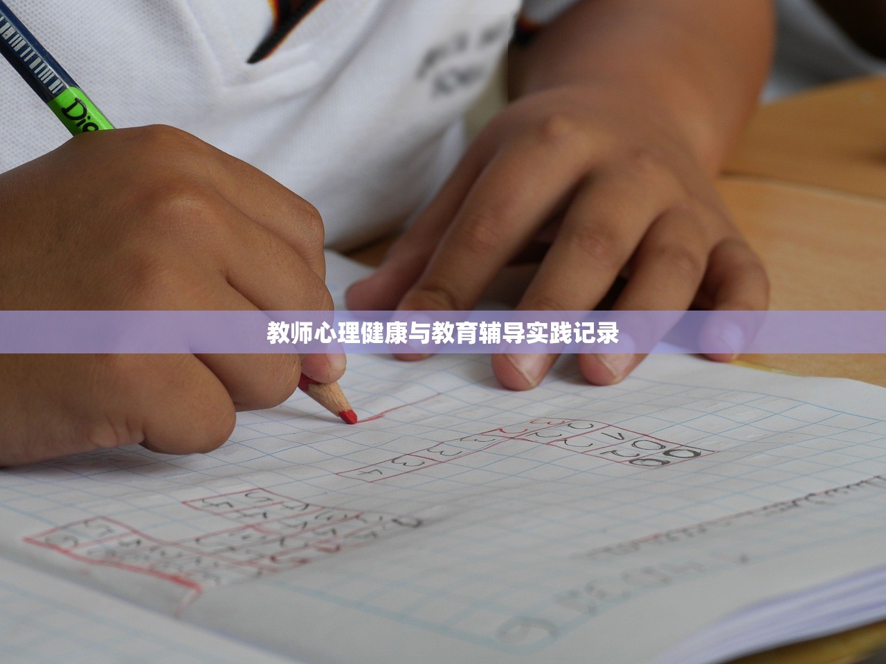 教师心理健康与教育辅导实践记录