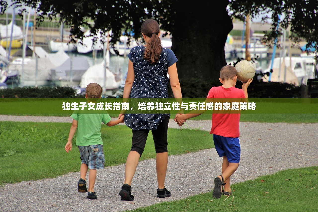 独生子女成长指南，培养独立性与责任感的家庭策略