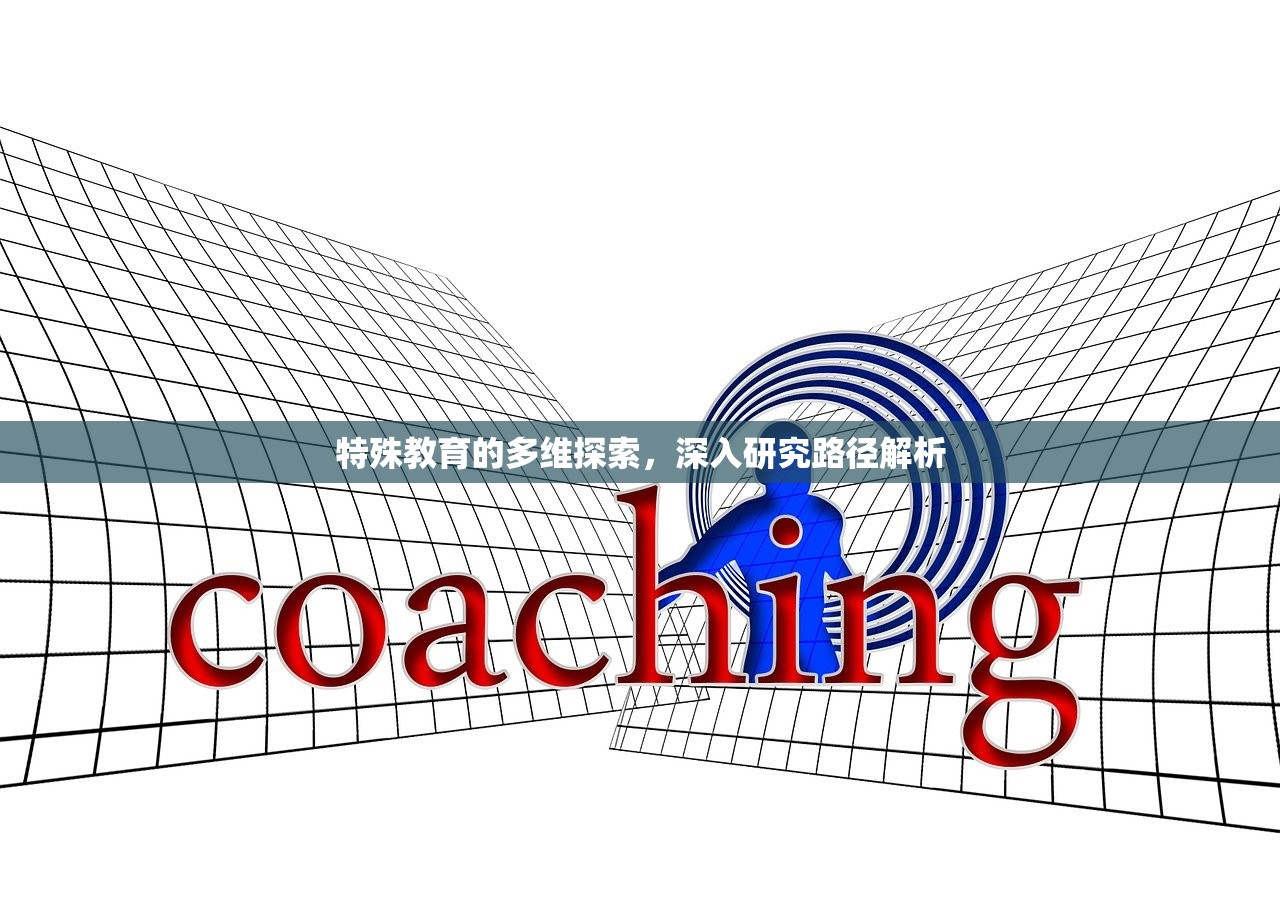 特殊教育的多维探索，深入研究路径解析