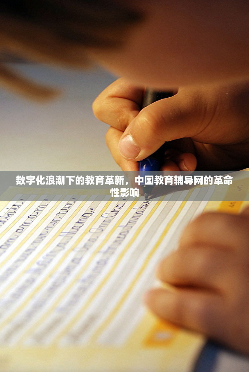 数字化浪潮下的教育革新，中国教育辅导网的革命性影响