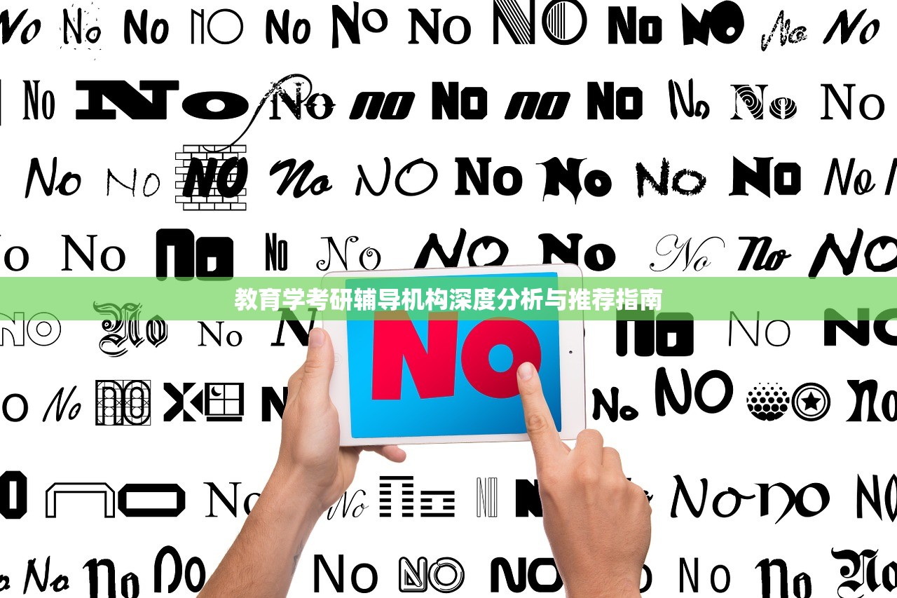 教育学考研辅导机构深度分析与推荐指南