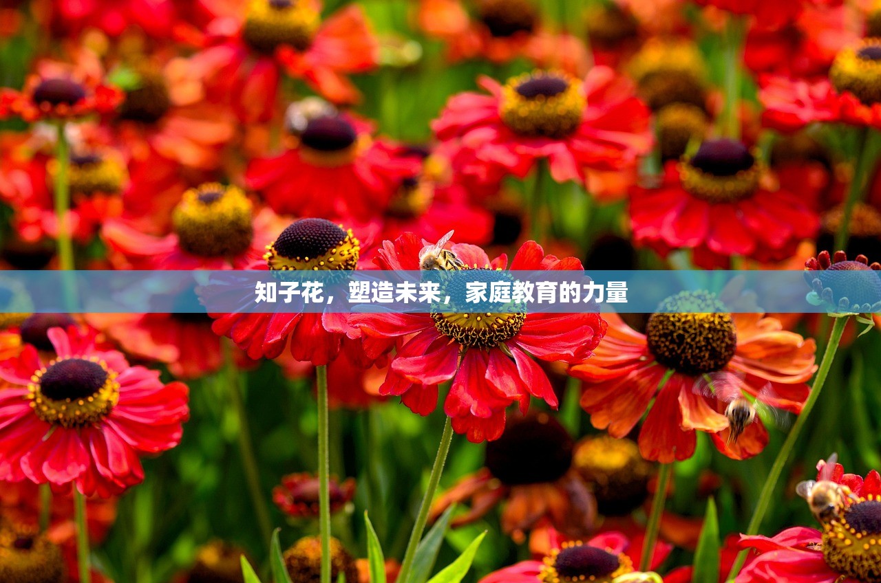 知子花，塑造未来，家庭教育的力量