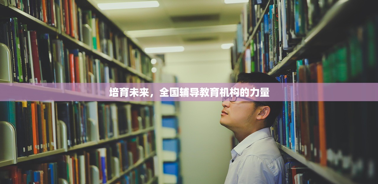 培育未来，全国辅导教育机构的力量