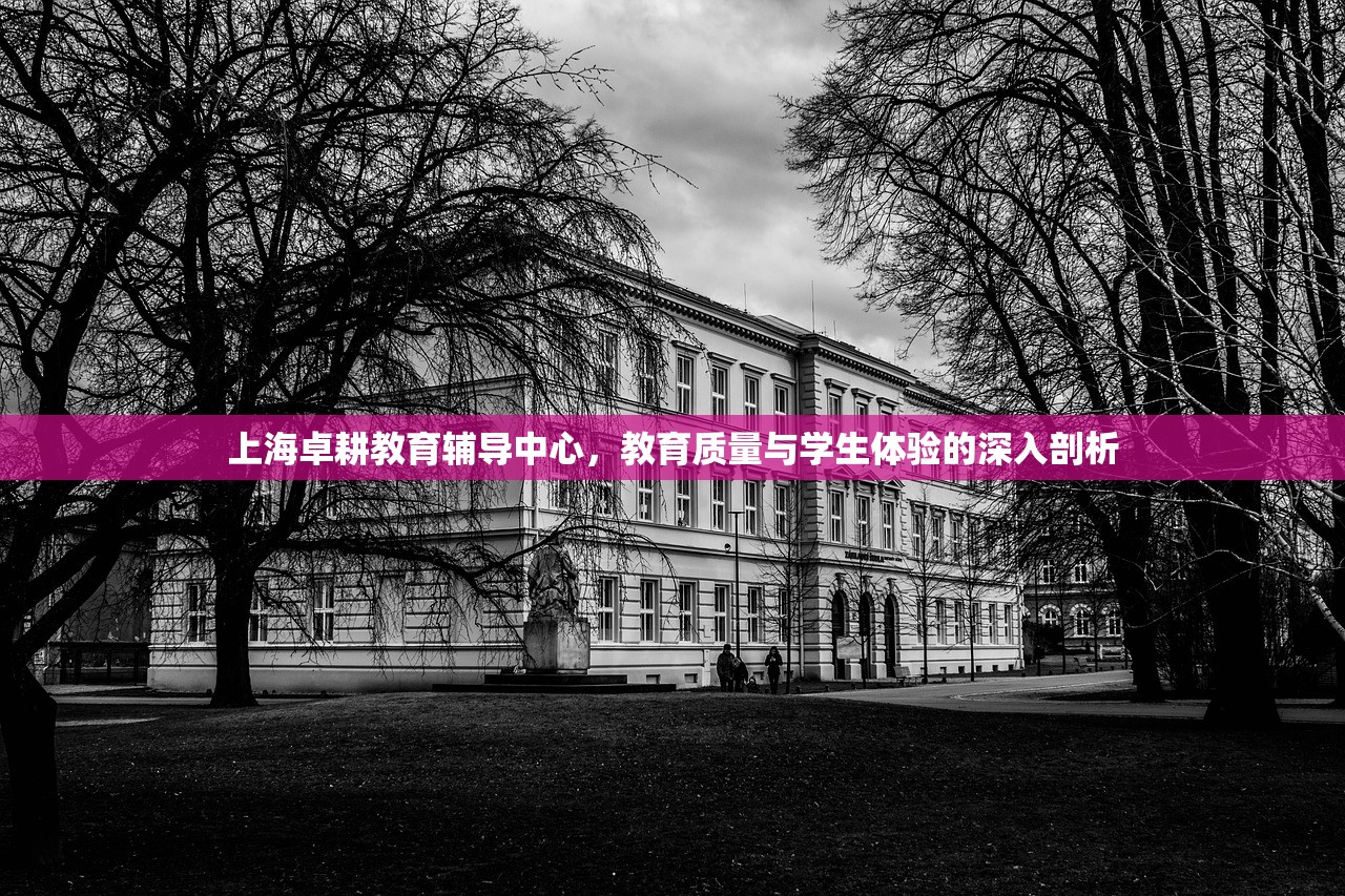 上海卓耕教育辅导中心，教育质量与学生体验的深入剖析