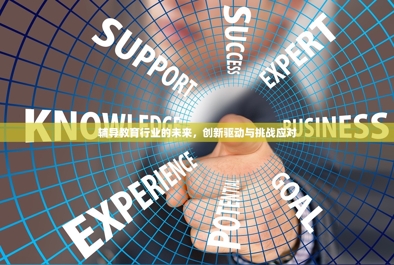 辅导教育行业的未来，创新驱动与挑战应对