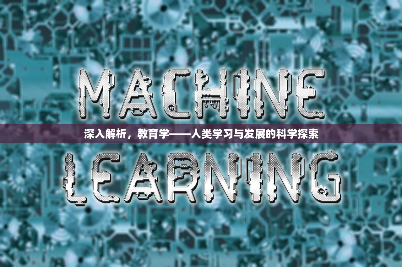 深入解析，教育学——人类学习与发展的科学探索