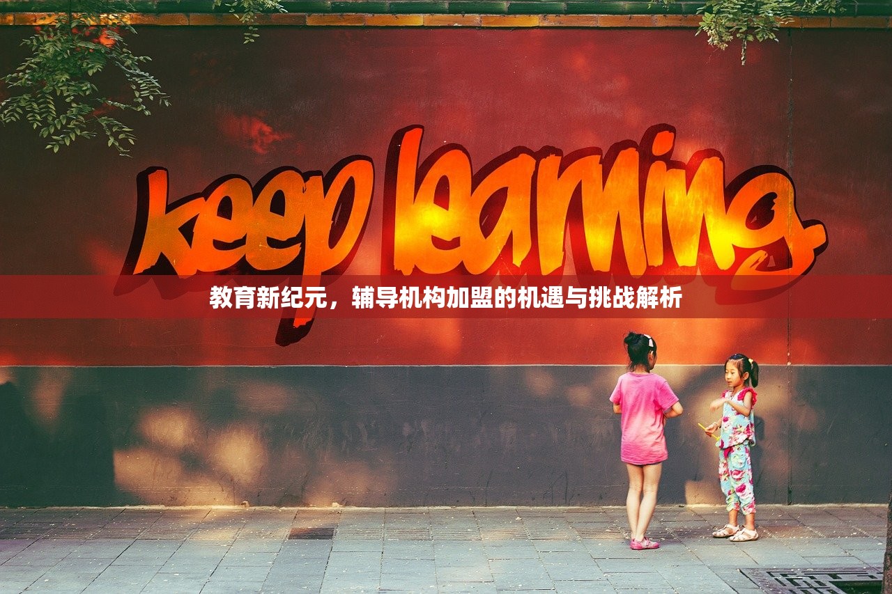 教育新纪元，辅导机构加盟的机遇与挑战解析